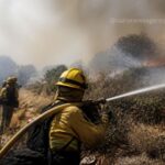 WMO Warns Escalating Wildfires and Heatwaves Undermine Global Air Quality