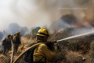WMO Warns Escalating Wildfires and Heatwaves Undermine Global Air Quality