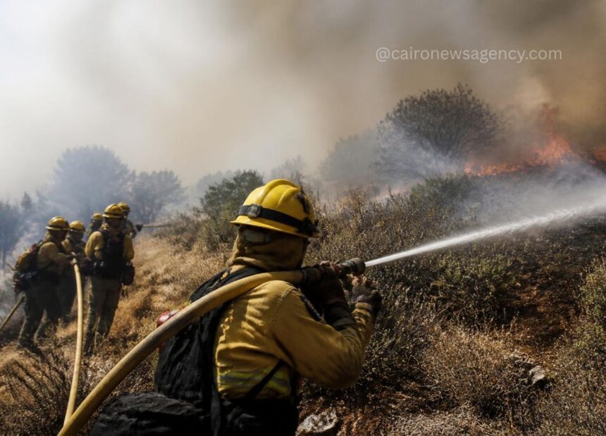 WMO Warns Escalating Wildfires and Heatwaves Undermine Global Air Quality