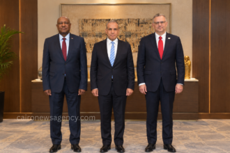 High-Level Trilateral Talks Hold Strategic Push for Sustainable Sudan Peace
