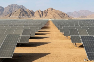 Egypt Upgrades National Grid for Renewable Expansion