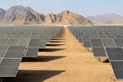 Egypt Upgrades National Grid for Renewable Expansion