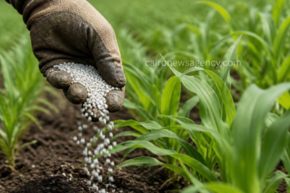 Egypt Outlines  Billion Fertilizer Expansion to Elevate Regional Production Capacities