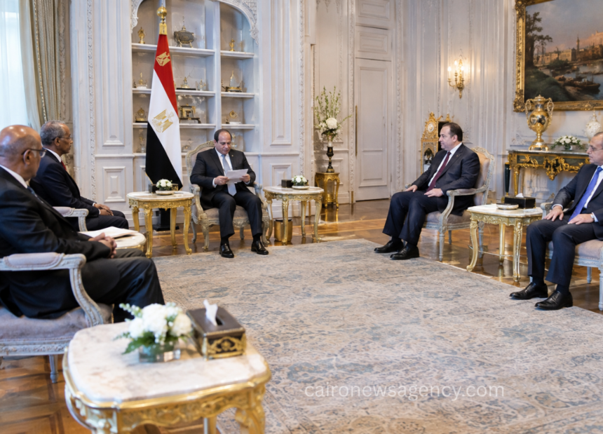 Egypt and Eritrea Assert Exclusive Control Over Red Sea Security at UN Meeting
