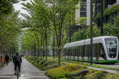 Egypt Accelerates Nationwide Urban Greening Initiative to Boost Environmental Quality